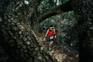 BIB: 
                            <button type="button" onclick="openModal(25391959)" class="btn btn-primary btn-sm float-right btn-popup" data-toggle="modal" data-target=".modal-high-quality">
                        <i class="fas fa-shopping-cart"></i> Add to Cart
                    </button>
                                            <button type="button" onclick="isThisMe(25391959, true)" class="btn btn-success btn-sm float-right btn-popup btn-isme hidden" data-toggle="tooltip" data-placement="bottom" title="นี่คือรูปของคุณใช่ไหม คลิกที่นี่เพื่อเอาเข้าอัลบั้ม">
                        <i class="fas fa-plus"></i> Add to album
                    </button>
                    <button type="button" onclick="isThisMe(25391959, false)" class="btn btn-warning btn-sm float-right btn-popup btn-isnotme hidden">
                        <i class="fas fa-ban"></i> Remove from album
                    </button>